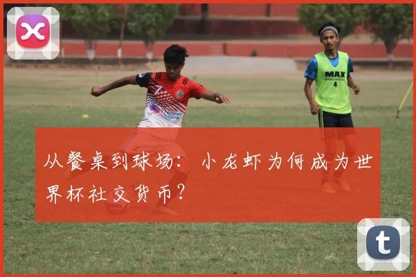 从餐桌到球场:小龙虾为何成为世界杯社交货币?