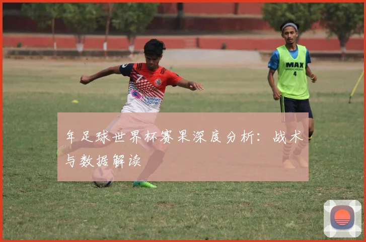 年足球世界杯赛果深度分析:战术与数据解读