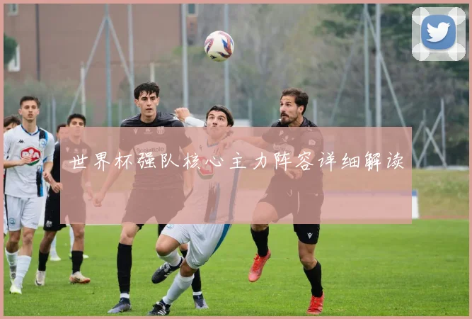 世界杯强队核心主力阵容详细解读