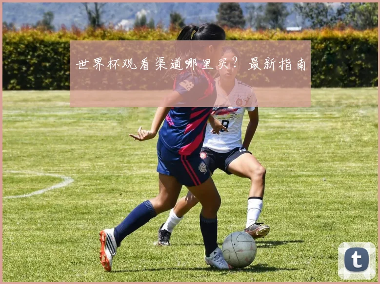 世界杯观看渠道哪里买?最新指南