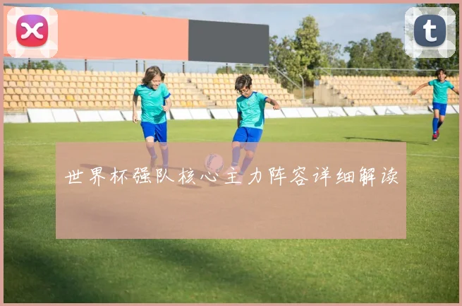 世界杯强队核心主力阵容详细解读