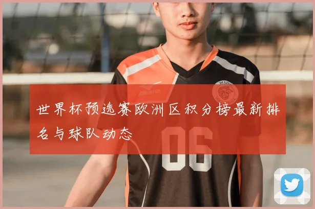世界杯预选赛欧洲区积分榜最新排名与球队动态