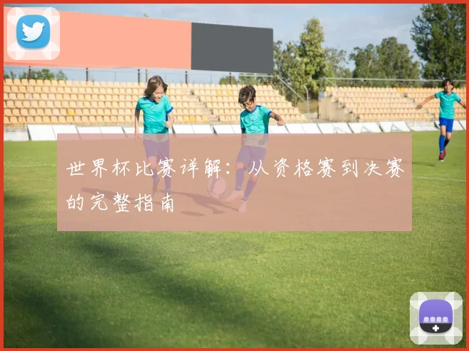 世界杯比赛详解:从资格赛到决赛的完整指南