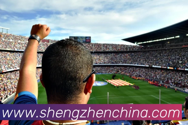 九游体育平台生态图